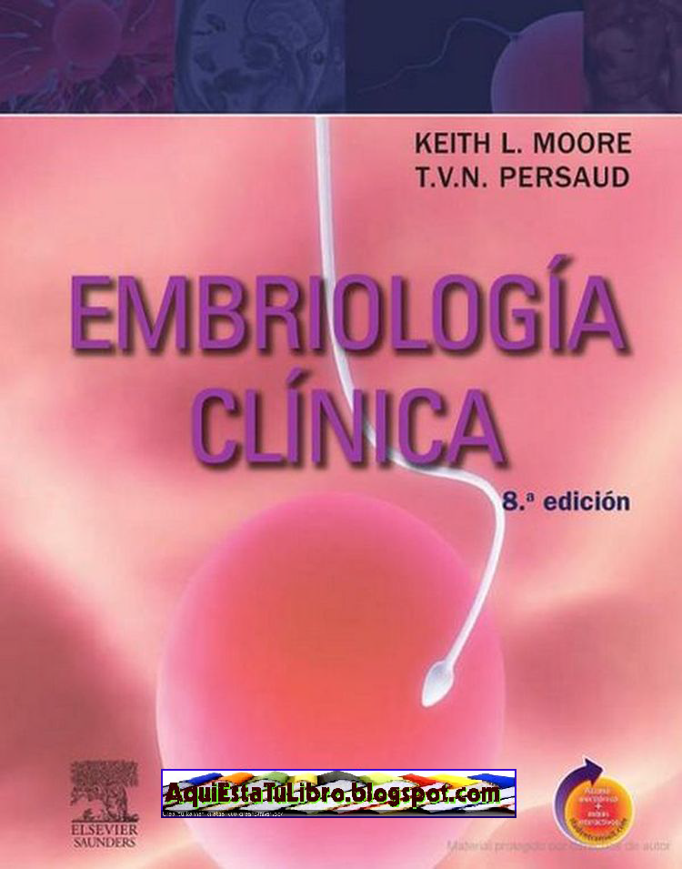 Embriologia Clinica Moore Pdf